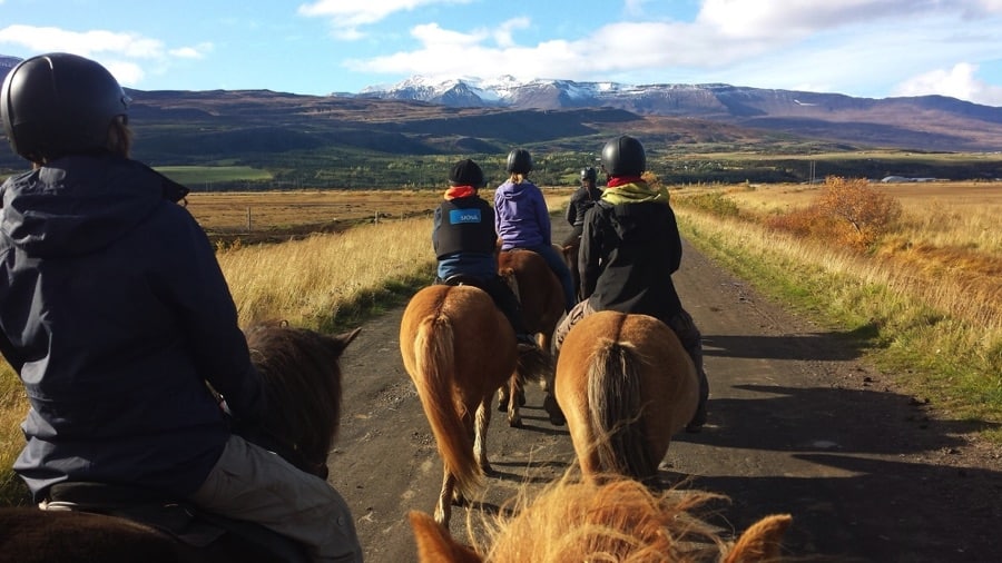 Horseback riding in Iceland in September