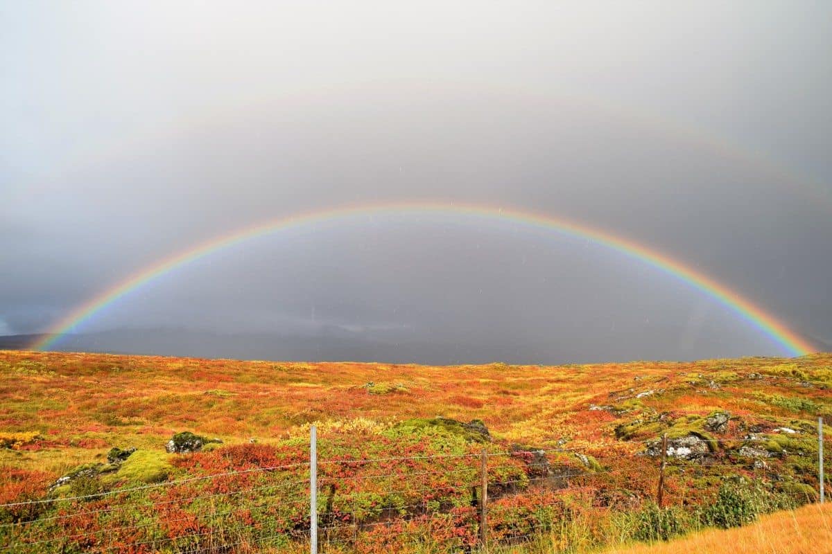 Rainbows in Iceland