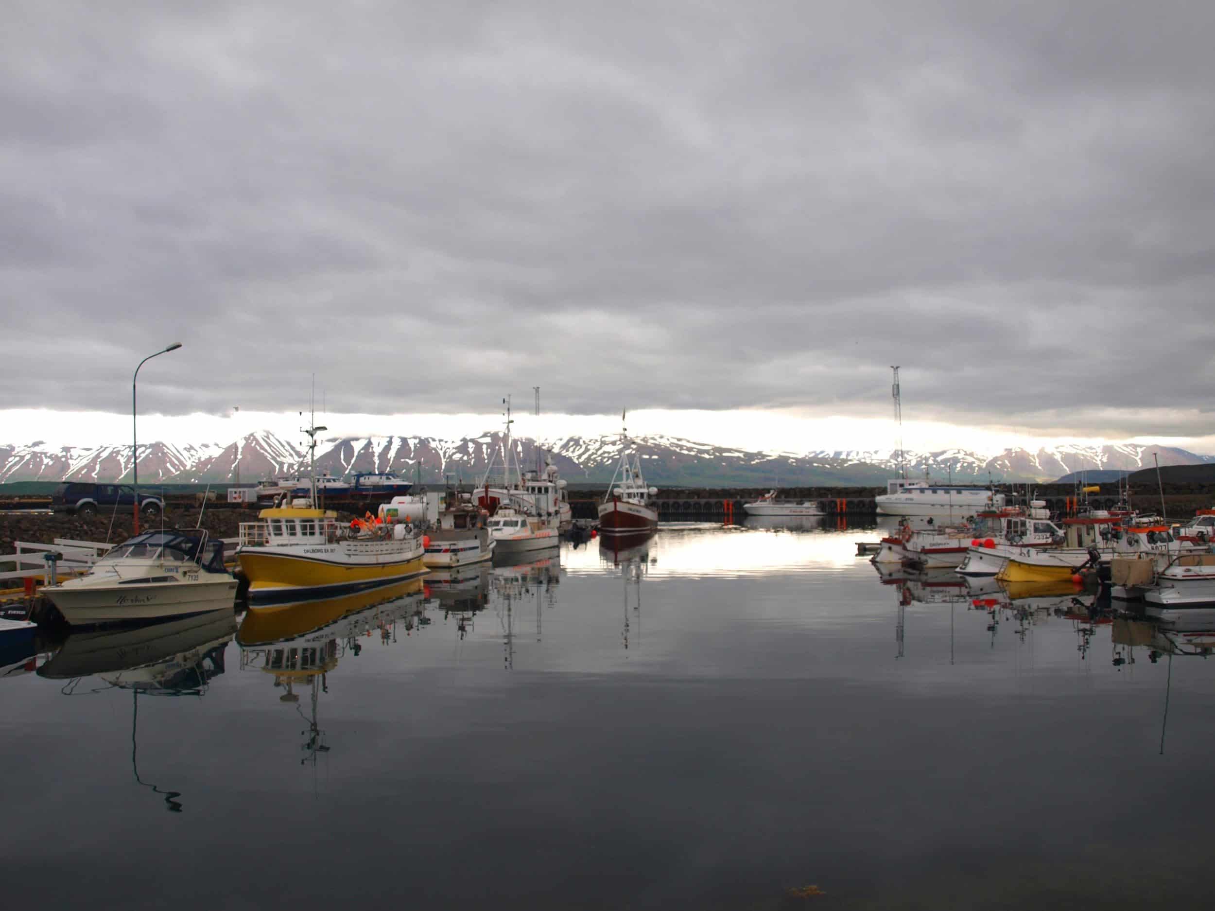 The harbor of Dalvík in Eyjafjörður north of Akureyri