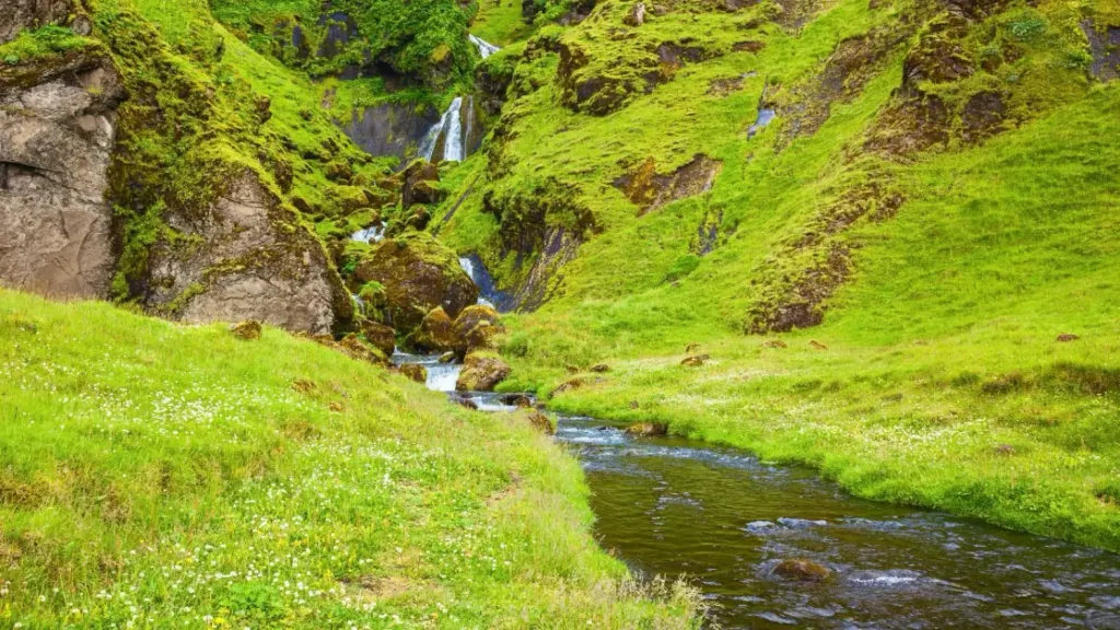 Waterfall in Iceland in summer.