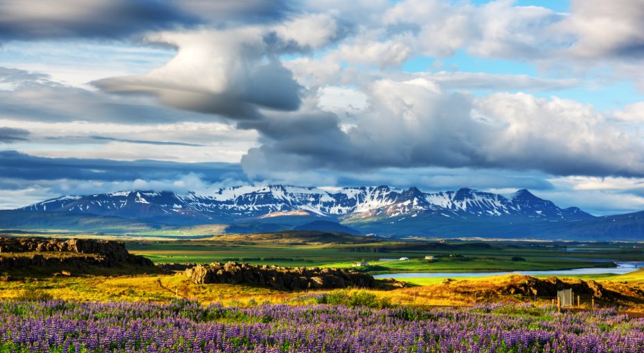 Iceland in summer.