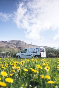 Renault kangoo camper in a flowerfield