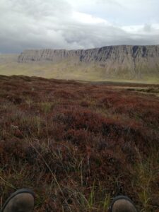 A moor in the Westfjords