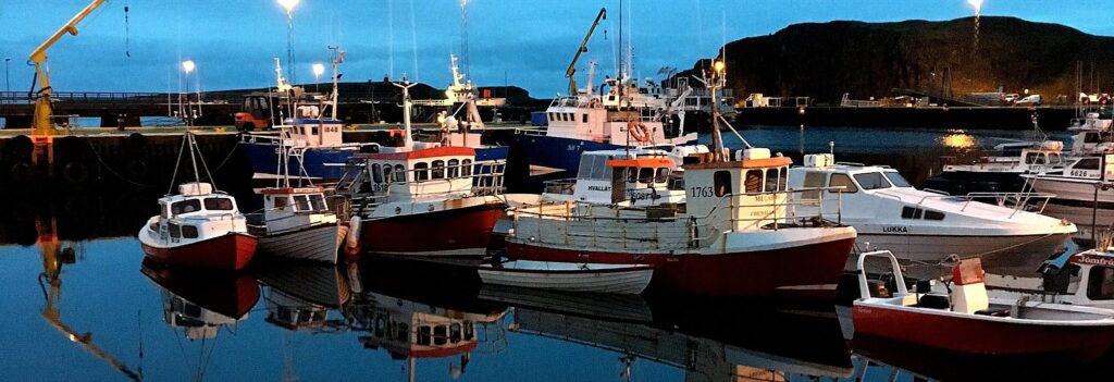 Boats in the harbour at night