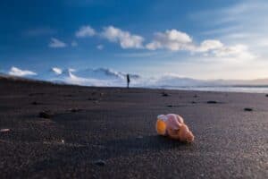 Black sand beach North Iceland