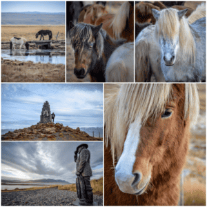 Búðardalur to Akureyri