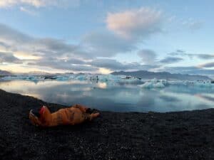 Dinosaur at Jökulsárlón