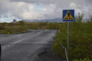 Diver Zebra Crossing Diver Zebra Crossing