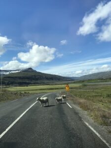 Driving East from Lake Mývatn Driving East from Lake Mývatn