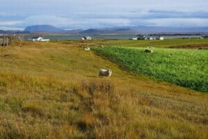 Driving in North Iceland Driving in North Iceland