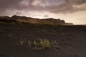 East Iceland East Iceland