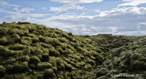 Eldhraun lava fields