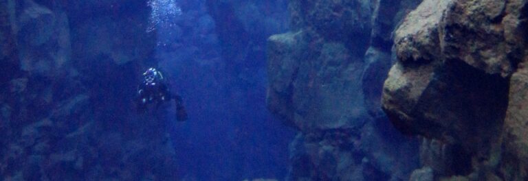 Diver in a lake surrounded with cliffs in Iceland