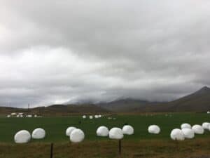 Hay storage Hay storage