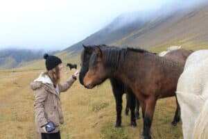 Horse encounter in Snæfellsnes Horse encounter in Snæfellsnes