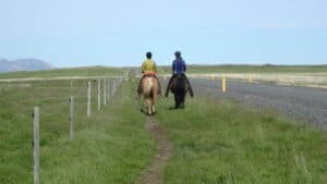 Horseback riding Horseback riding