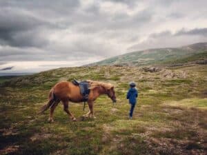 Horseback riding Iceland