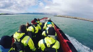 Húsavík Whale Watching