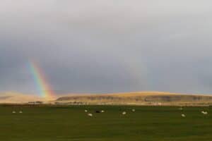 Iceland in late September
