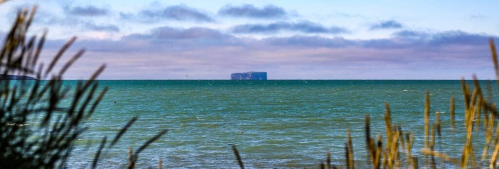 straws and view to the ocean