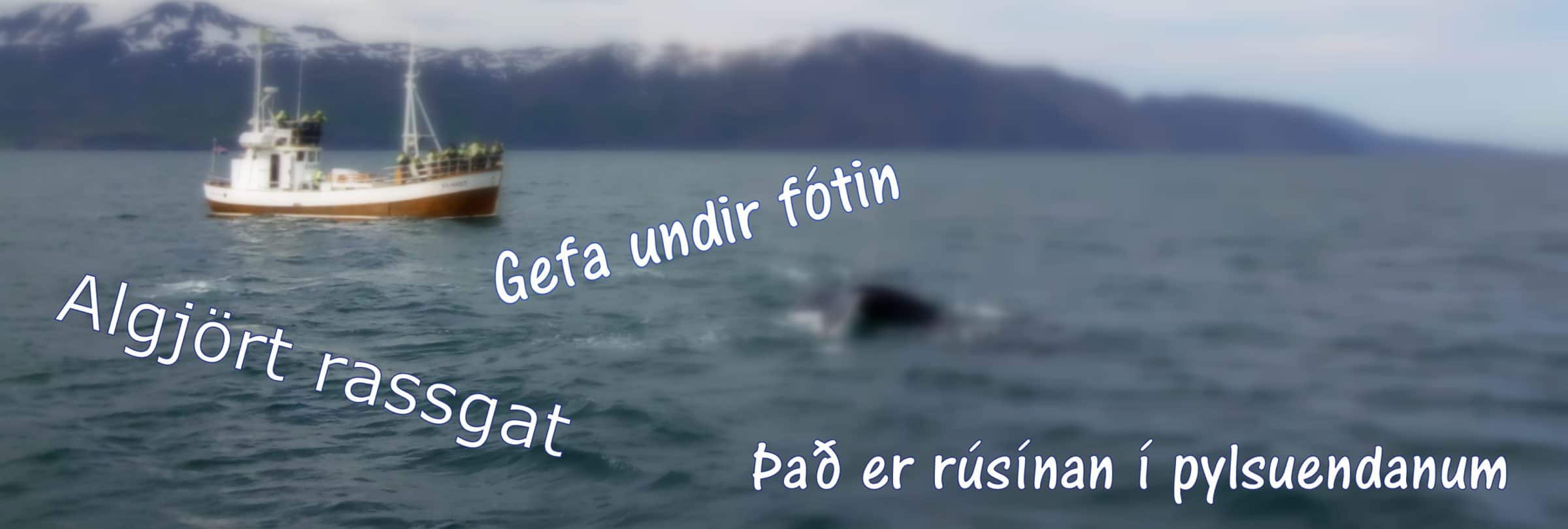 Icelandic language visual data 4