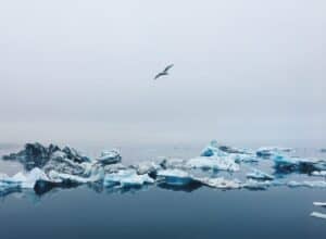 Jökulsárlón Jökulsárlón