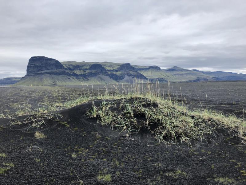 black sand dune with grass mountains
