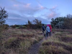 Learning about Iceland