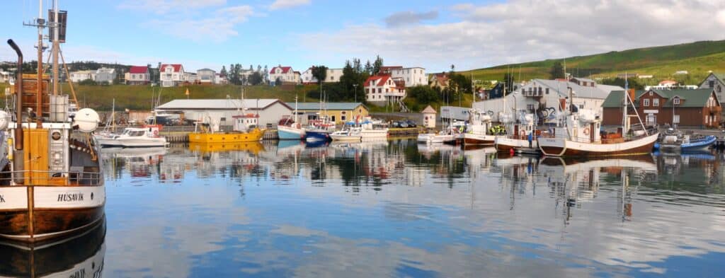 harbour in iceland full of boats