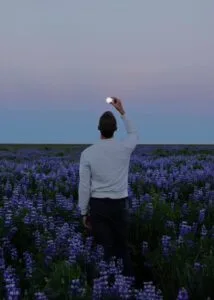 Lupins and the moon Lupins and the moon