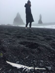 Reynisfjara beach Reynisfjara beach
