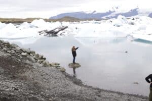 Seals in the ice lagoon
