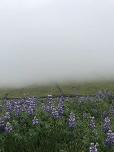 Seljavallalaug area Seljavallalaug area