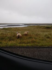 September evening Iceland September evening Iceland