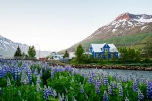 Seyðisfjörður Village