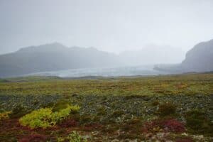 Svinafellsjökull glacier Svinafellsjökull glacier
