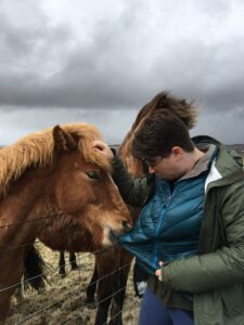 The Icelandic Horse The Icelandic Horse