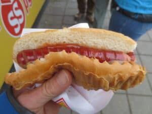 The Icelandic hot dog