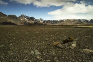 The Wild Iceland The Wild Iceland