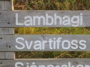 The drive to Svartifoss