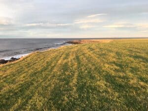 Tjörneshreppur Campsite view Tjörneshreppur Campsite view