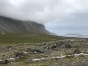 Viking Village Viking Village