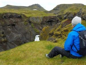 Waterfall in Iceland