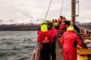 Whale safari in Húsavik Whale safari in Húsavik