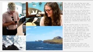 What to do in Westman islands