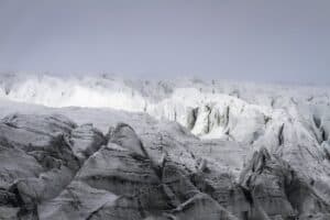 Wild Iceland Wild Iceland