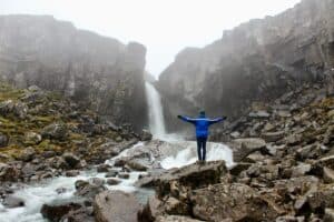 Wild Iceland Wild Iceland