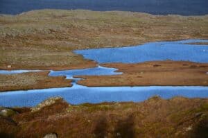 Wild Westfjords