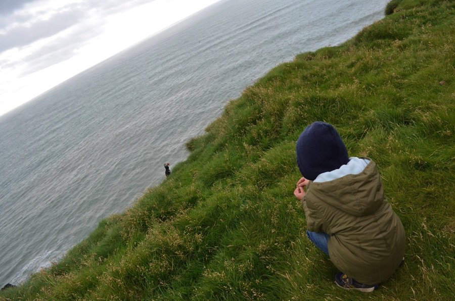 Puffin watching in Iceland