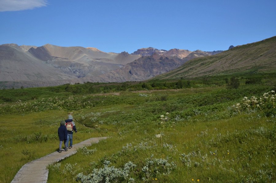 Svínafell glacier campsite